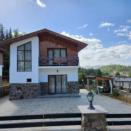 Villa In Mountains Bakoerjani Buitenkant foto