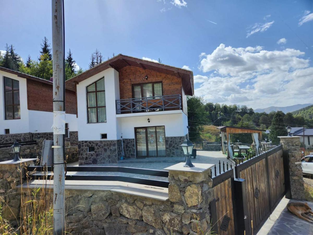 Villa In Mountains Bakoerjani Buitenkant foto