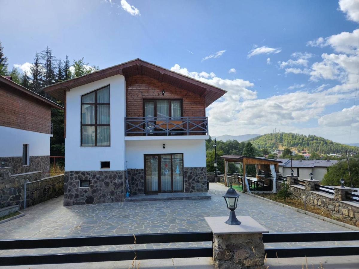 Villa In Mountains Bakoerjani Buitenkant foto
