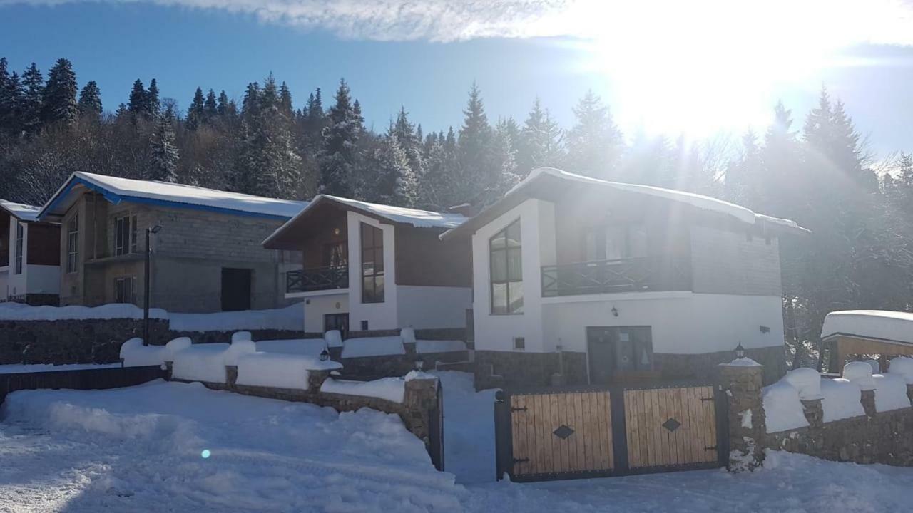 Villa In Mountains Bakoerjani Buitenkant foto